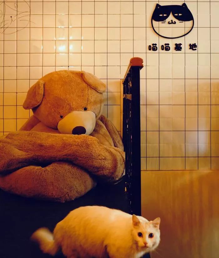 【封面】开宠物店暴利?全案解析宠物洗护美容、食品用品、寄养售卖…揭秘宠物经济令人费解的低收入真相