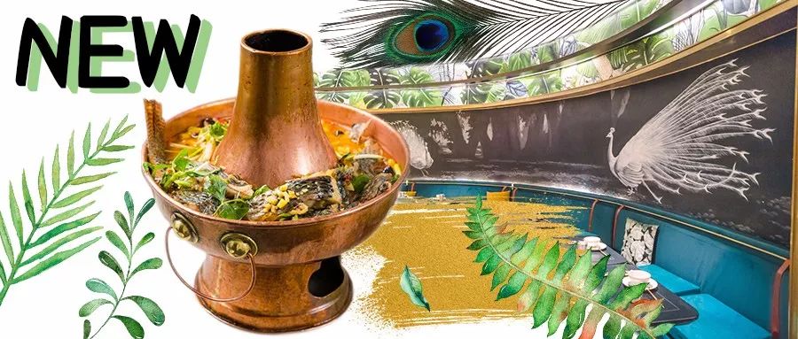 小仙女的下午茶教程,小仙女们的下午茶地点