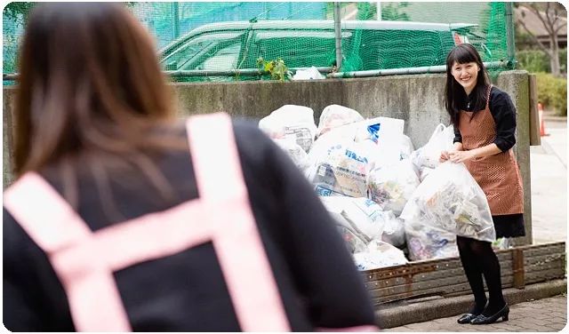 日本近现代环境保护发展史,日本的环保发展史