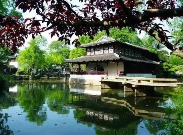 小满丨一花一世界，一园亦交融