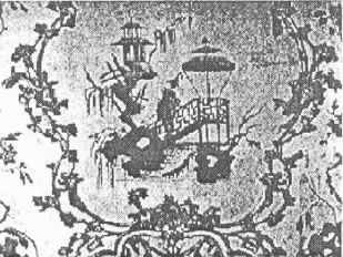 小满丨一花一世界，一园亦交融