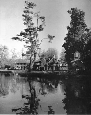 小满丨一花一世界，一园亦交融