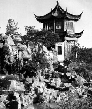 小满丨一花一世界，一园亦交融