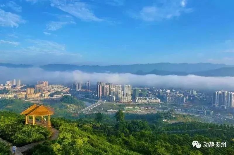 我县入选2020中国最美县域榜单,中国最美县域榜单出炉康县