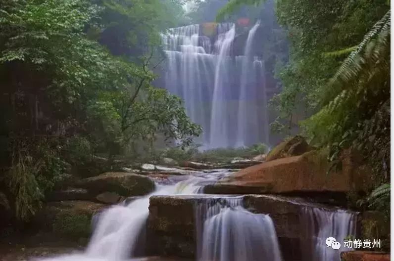 我县入选2020中国最美县域榜单,中国最美县域榜单出炉康县