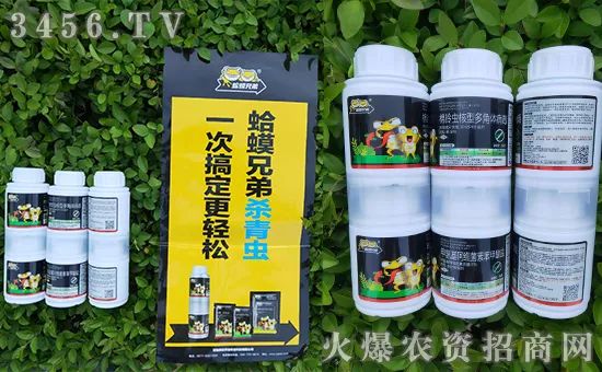 杀青虫什么药最好,杀青虫最有效的方法