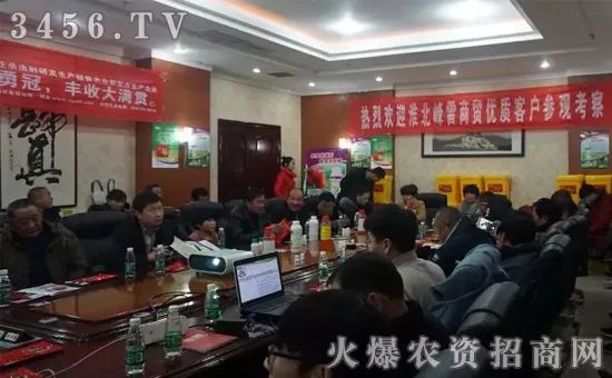 杀青虫什么药最好,杀青虫最有效的方法