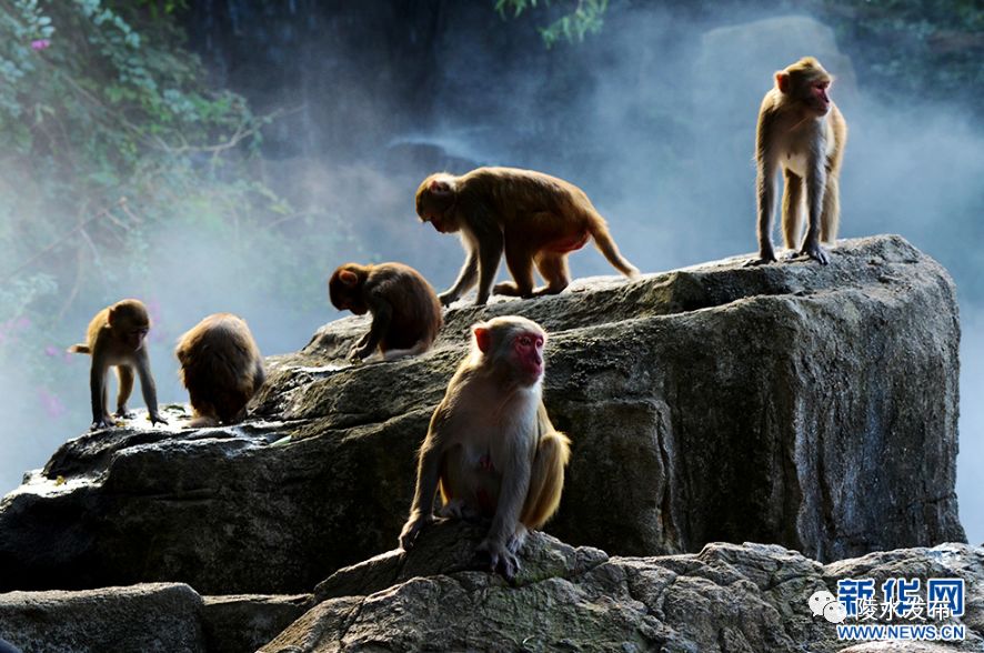 陵水值得拍的地方,陵水最美外景地
