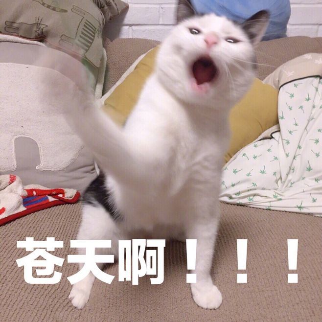 狂怒2是不是三a大作,狂怒2评分为什么这么低