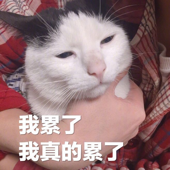 狂怒2是不是三a大作,狂怒2评分为什么这么低