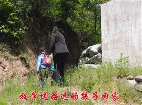 邓州市最美家庭,最美家庭淅川