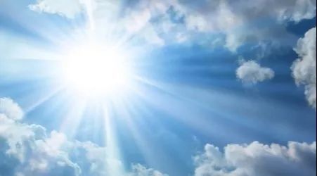 杨柳絮有什么副作用,杨柳絮的副作用和危害