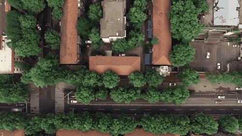 天呐！武汉这个区开挂了！反正我是羡慕了！