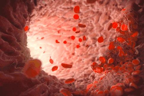 荔枝病为什么那么多,如何缓解荔枝病