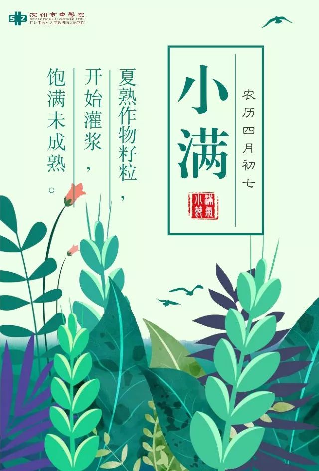 每日小满的养生知识,小满养生食疗食谱大全