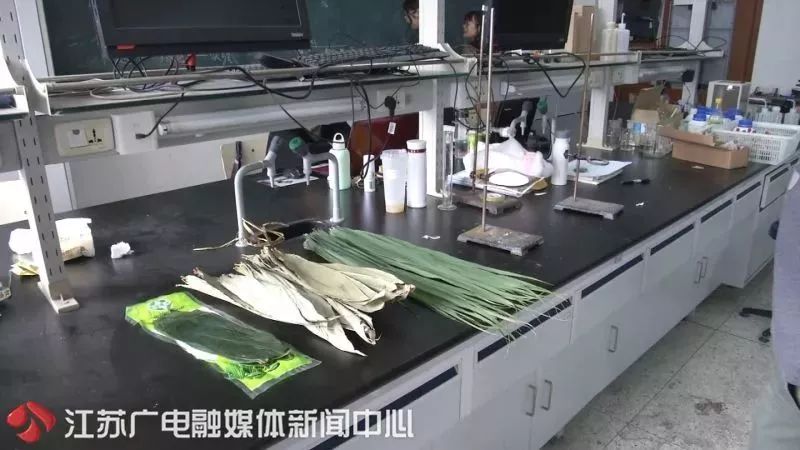 绿粽子怎么鉴别重金属,绿粽子含重金属吗