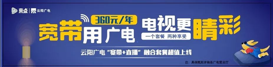 紫金小学师资,紫金小学报名条件