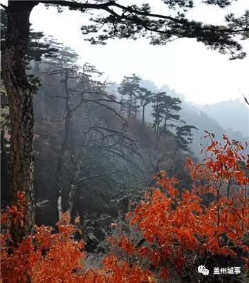 青龙山景区风景,青龙山的美景