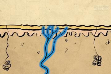 为什么被纸割到很疼,手指被纸割破