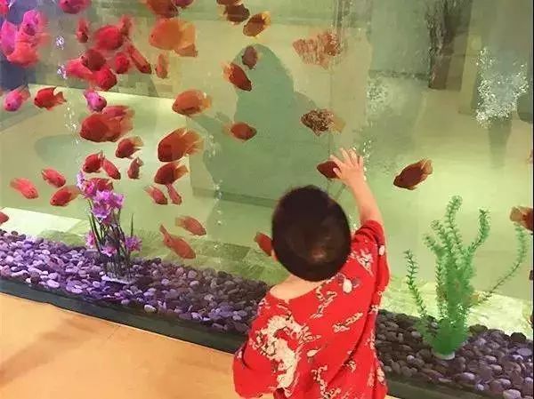 29.9元起！有效3个月，覆盖整个冬天！上海哈一顿桑拿，限量特惠，手慢无