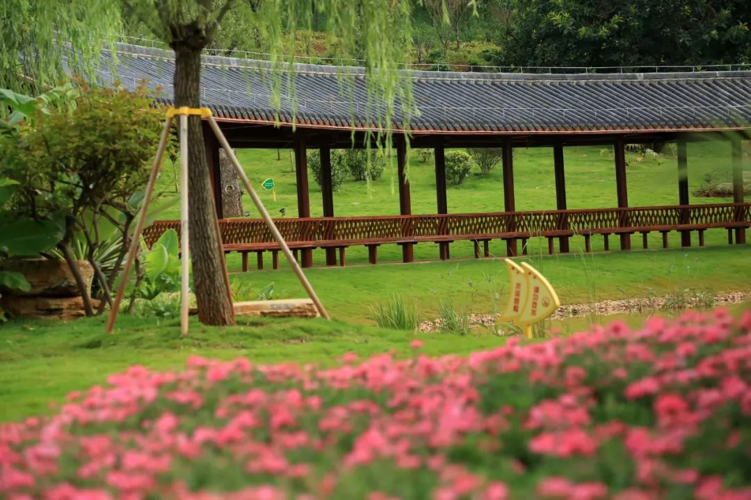 给你一份开远旅游打卡推荐！