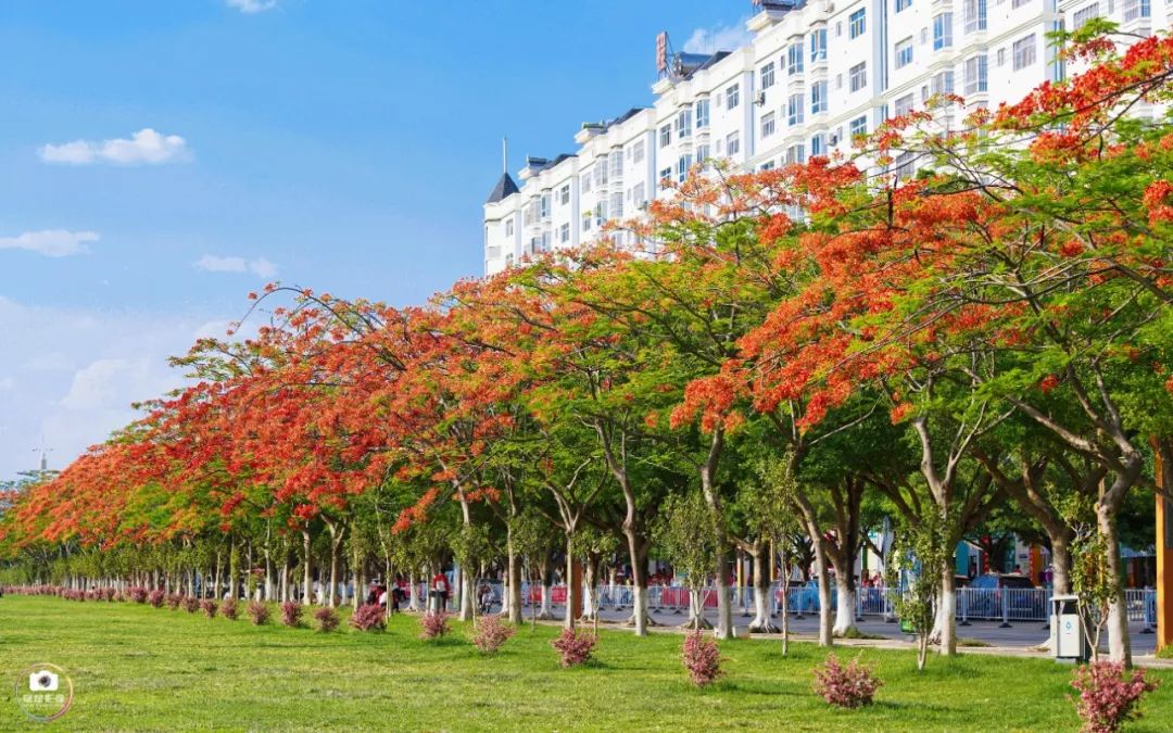 给你一份开远旅游打卡推荐！