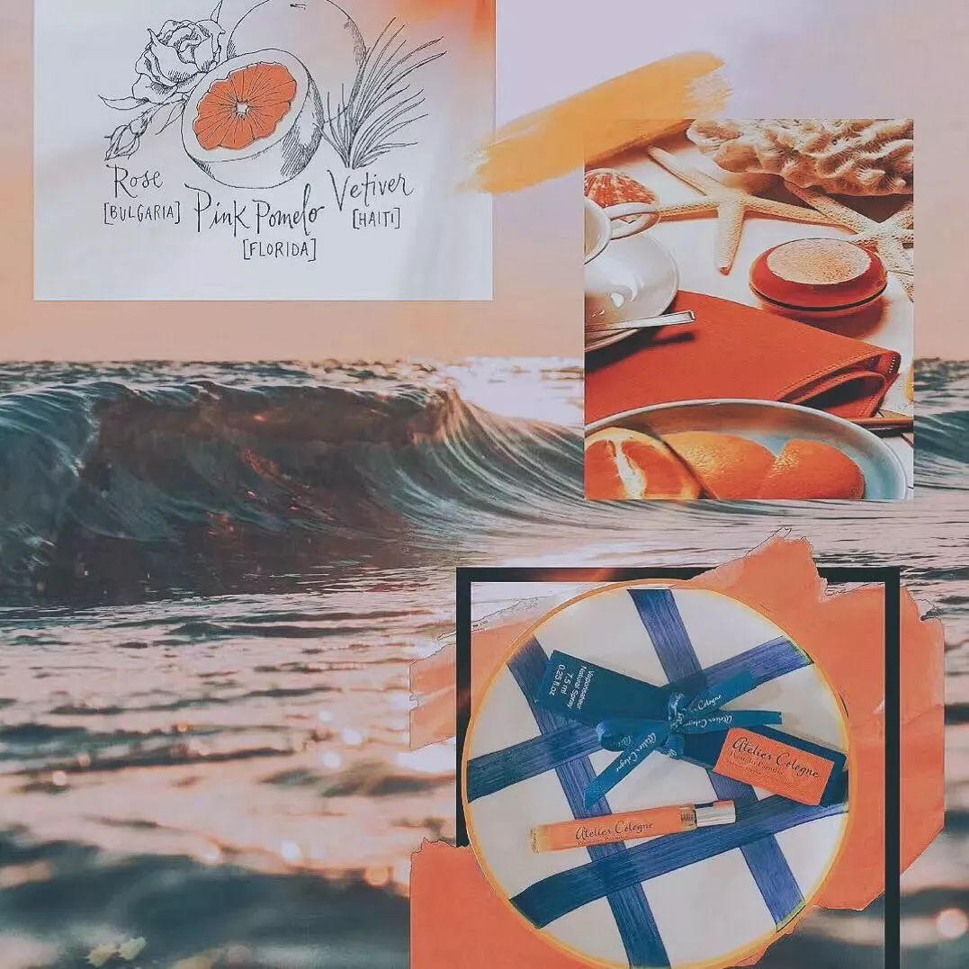 澶忔棩蹇呭濂界墿鍚堥泦,澶忔棩濂界墿鎺ㄨ崘鍚堥泦