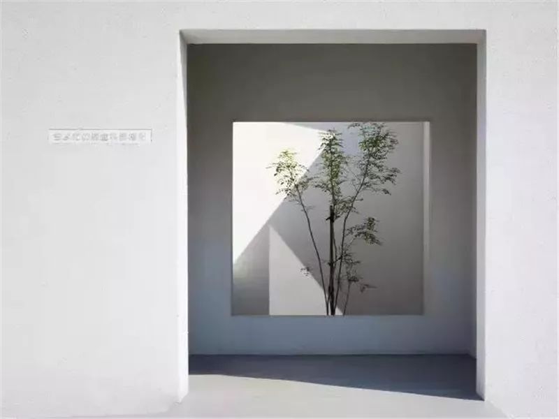 两块钱的水泥做出50元的效果,水泥全是绿色可以做什么