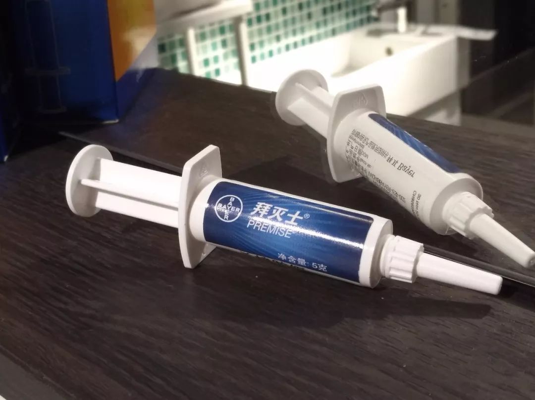 想要消灭家里蟑螂,家里有蟑螂可以请专业人士来灭吗