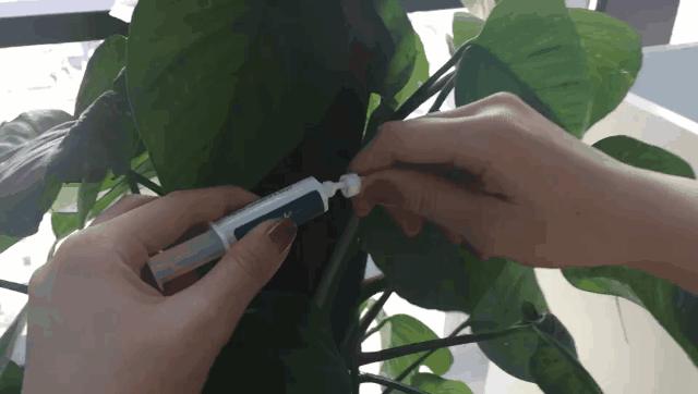 想要消灭家里蟑螂,家里有蟑螂可以请专业人士来灭吗