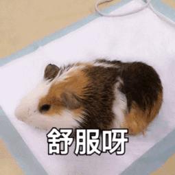 雨+高温!深圳天气开启“下开水”模式?这些地方还将停水、停电