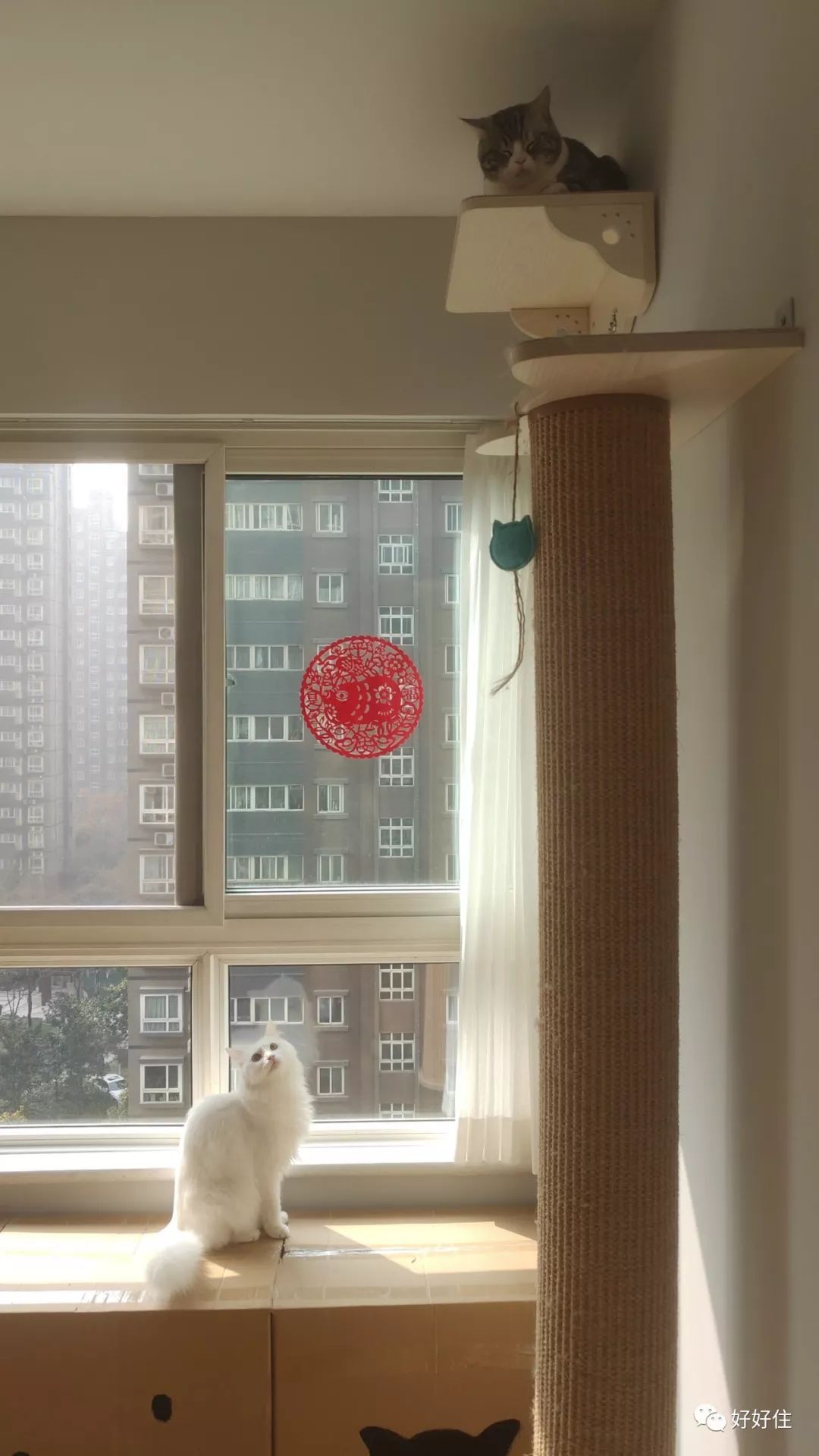 只有3㎡的卫生间如何实现三分离？