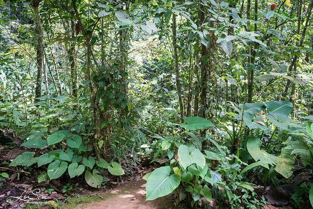 沙巴旅游攻略三天三夜,沙巴之行3天