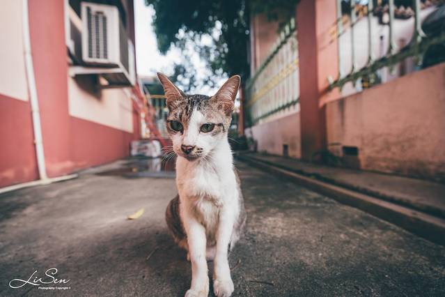 沙巴旅游攻略三天三夜,沙巴之行3天