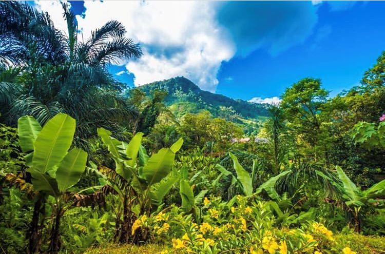 电子签又一国!海景堪比马代,物价却比泰国还低!直飞碾压朋友圈99%好友