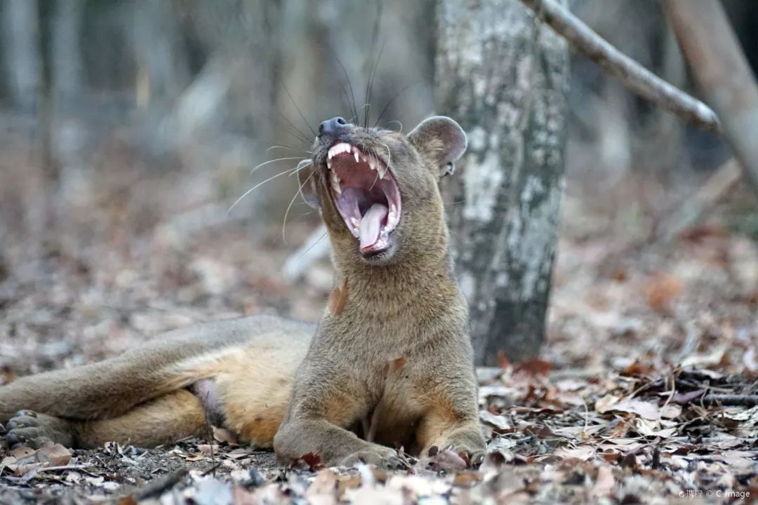 电子签又一国!海景堪比马代,物价却比泰国还低!直飞碾压朋友圈99%好友