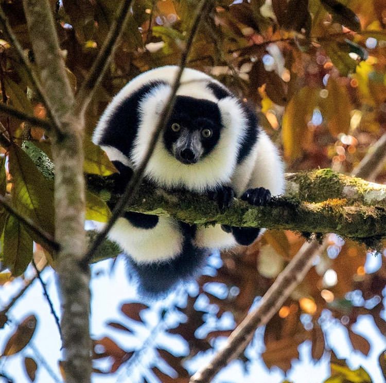 电子签又一国!海景堪比马代,物价却比泰国还低!直飞碾压朋友圈99%好友