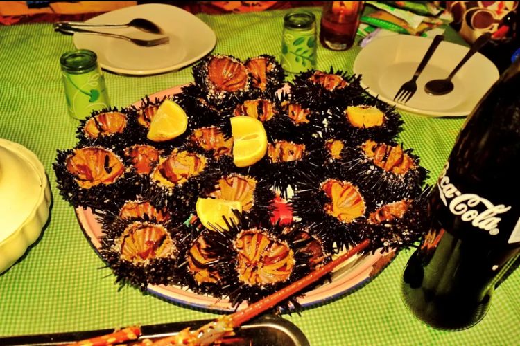 电子签又一国!海景堪比马代,物价却比泰国还低!直飞碾压朋友圈99%好友