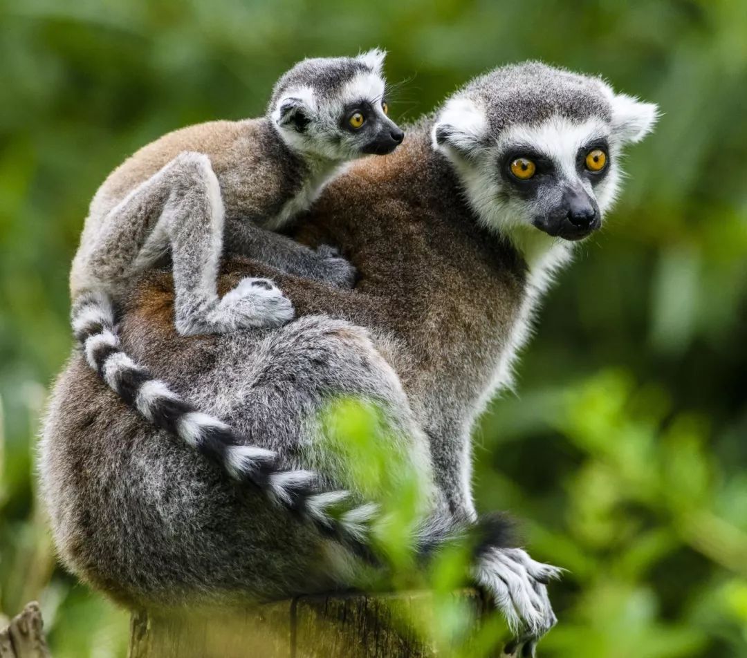 电子签又一国!海景堪比马代,物价却比泰国还低!直飞碾压朋友圈99%好友