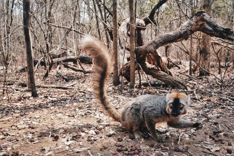 电子签又一国!海景堪比马代,物价却比泰国还低!直飞碾压朋友圈99%好友