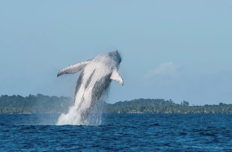 电子签又一国！海景堪比马代，物价却比泰国还低！直飞碾压朋友圈99%好友