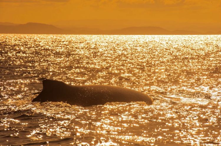 电子签又一国!海景堪比马代,物价却比泰国还低!直飞碾压朋友圈99%好友