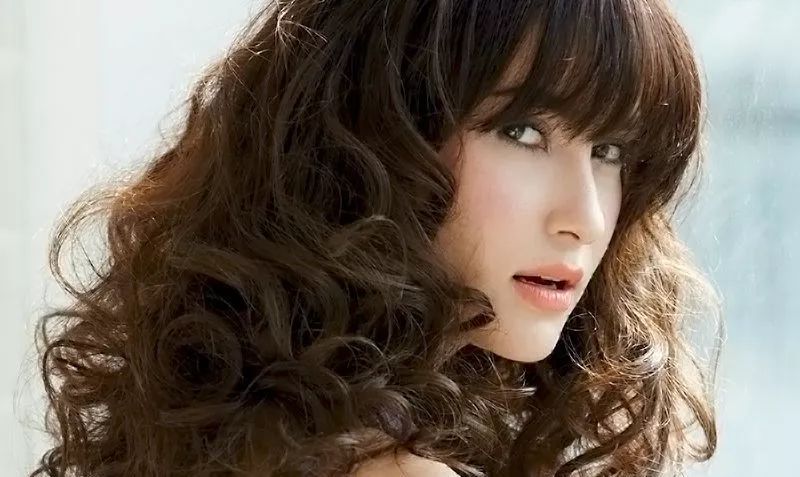 宝藏大学之法政篇