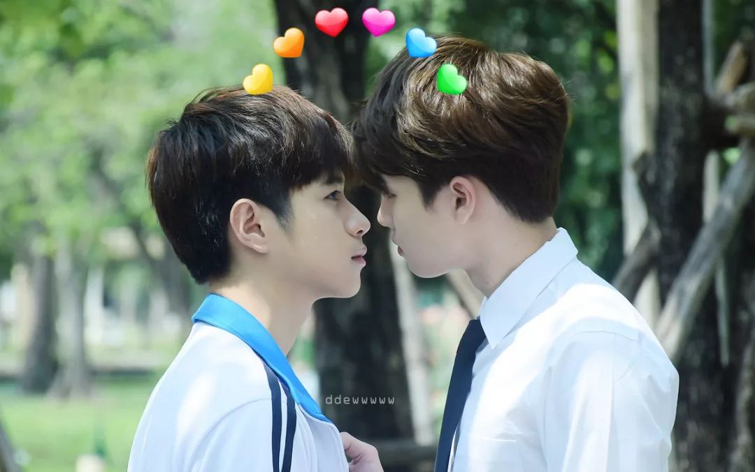 宝藏大学之法政篇