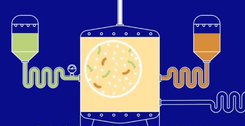 隔壁澳洲上演了被人潮包围的一幕，而这一切和新西兰也息息相关