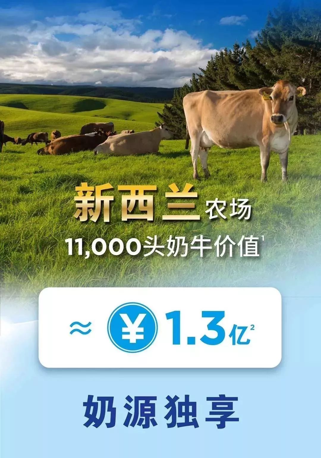 隔壁澳洲上演了被人潮包围的一幕，而这一切和新西兰也息息相关