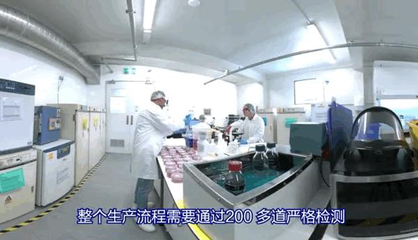 隔壁澳洲上演了被人潮包围的一幕，而这一切和新西兰也息息相关