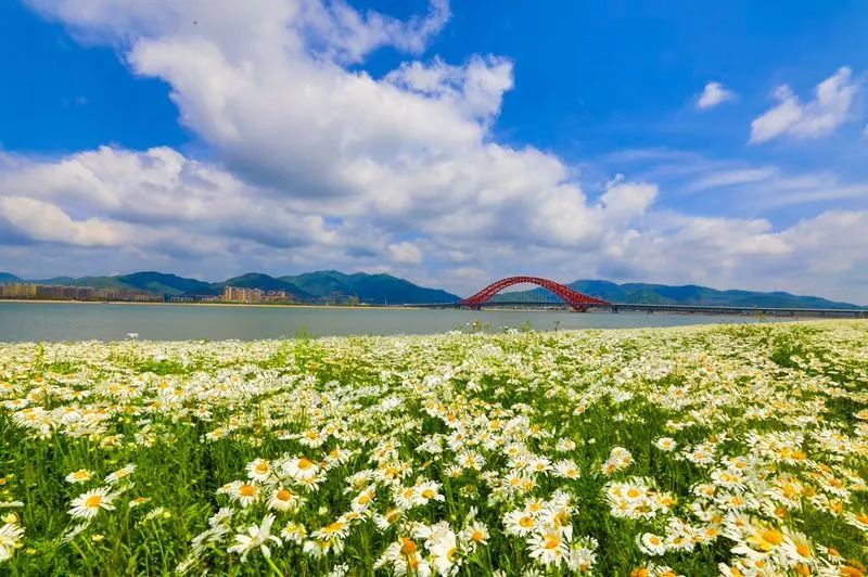 梅山现在什么码头最热闹,梅山寺庙会最新消息