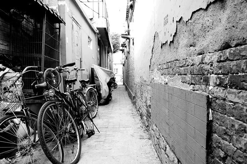 榆钱窝窝头菜团子,榆钱菜团子