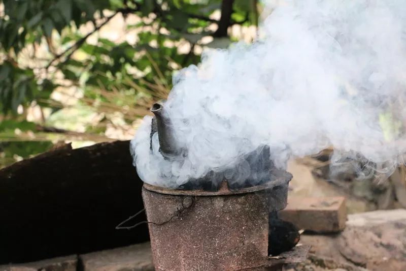 榆钱窝窝头菜团子,榆钱菜团子